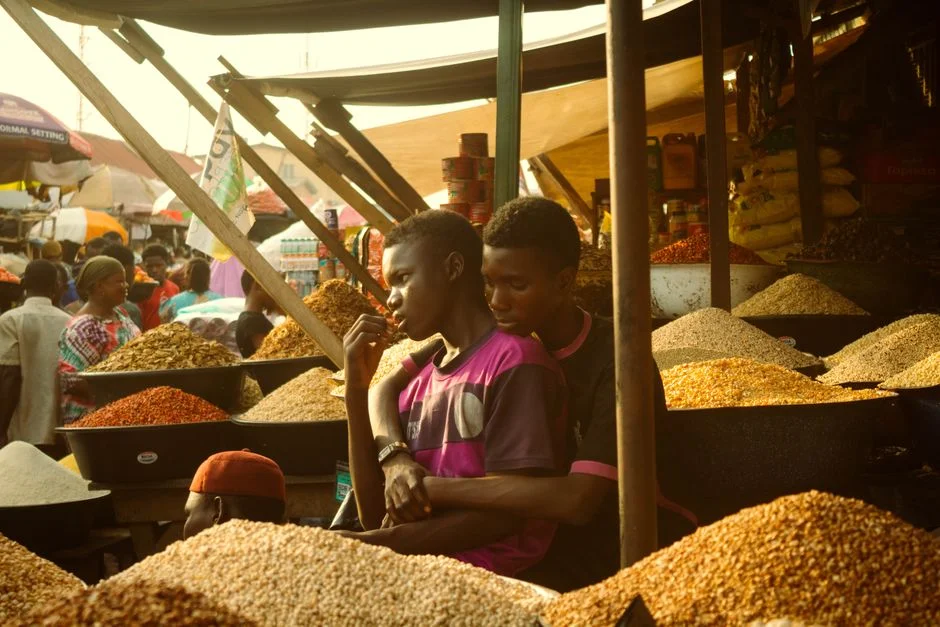 Africa Demands Own Answers as External Aid Models Falter — Environment Nature