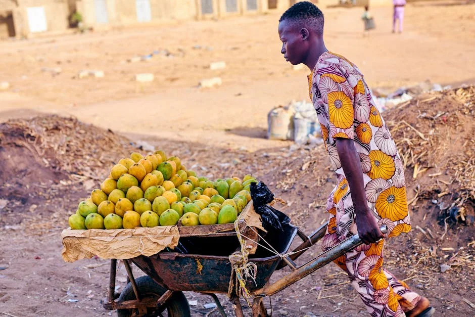 Africa Demands UNSC Reform: What a Permanent Seat Would Mean for Development — Economy Business