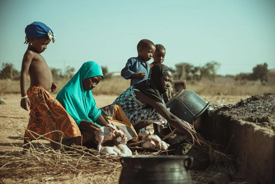 Africa Today Unveils New Initiative to Boost Nigerian Education by 25% by 2027 — Environment Nature