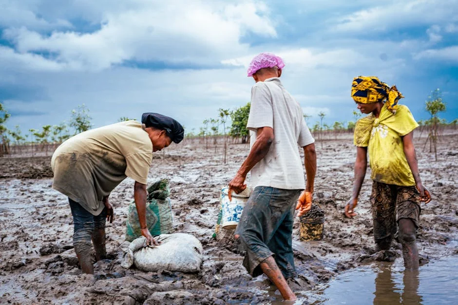 Africa's Innovations Ignored as Global Attention Distracted — Economy Business