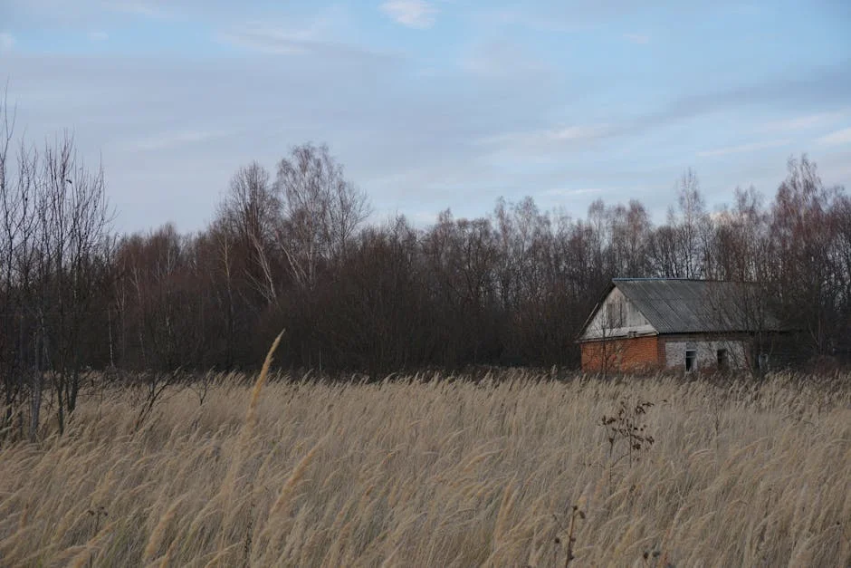 Ahrefs and SEMrush Clash — How It Impacts Nigeria's Digital Growth — Economy Business