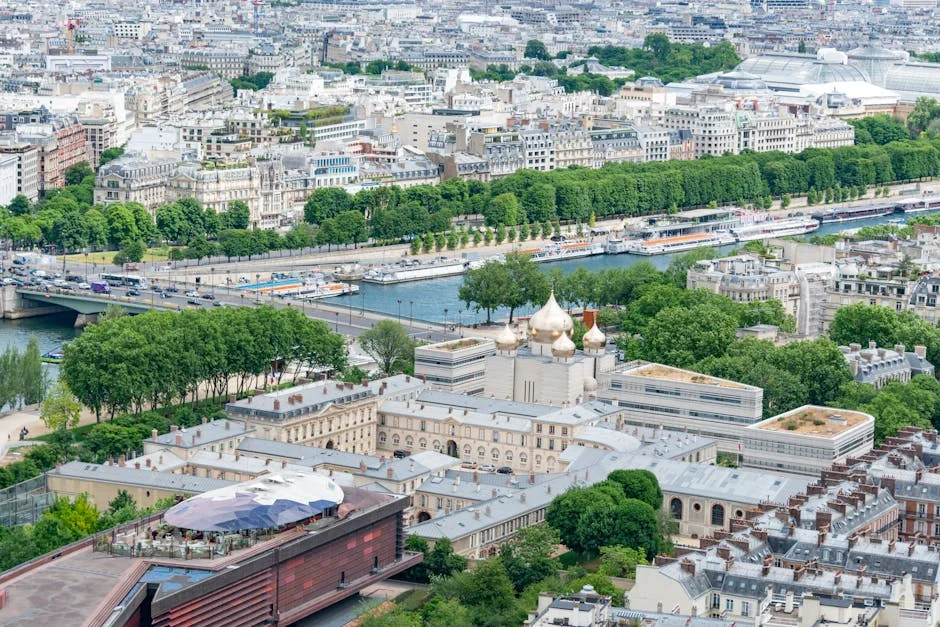 Alexis Stone exposes deception as Jim Carrey at Film Awards — what it means for Africa — Health Medicine