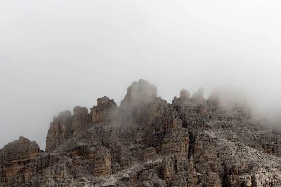 Alto Alentejo Municipalities Report €16 Million Losses — Here's What Happened — Economy Business