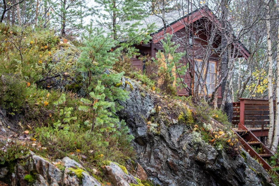 ANC Seeks Alliance with DA in Gauteng to Boost Regional Development