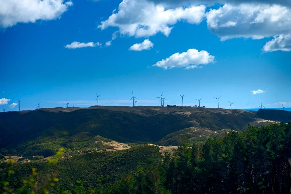 ANC Slams Winde’s Attire in Parliament: What It Means for South African Governance — Economy Business