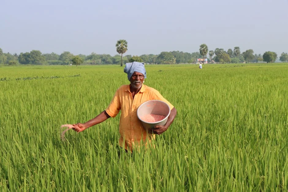 Andhra Pradesh Cartoon Sparks Debate Over Cultural Sensitivity — Impact on Nigeria — Economy Business