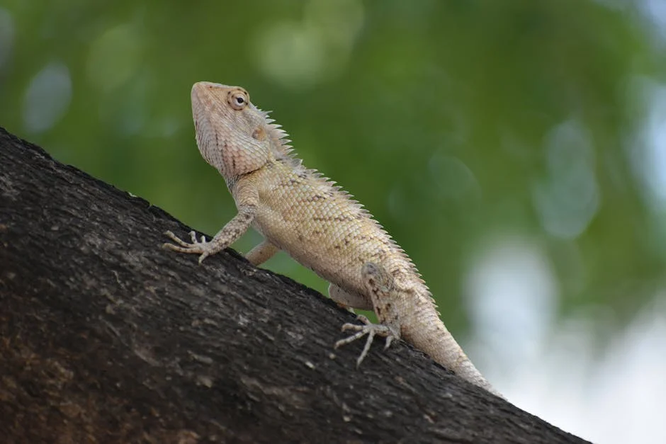 Arakkonam Police Arrest Two Youths for Possessing Narcotic Tablets: What It Means for Local Youth — Economy Business