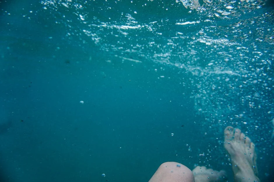 Australia Doubles Post-Study Visa Cost to AU $4,600: Experts Warn of Student Exodus — Economy Business