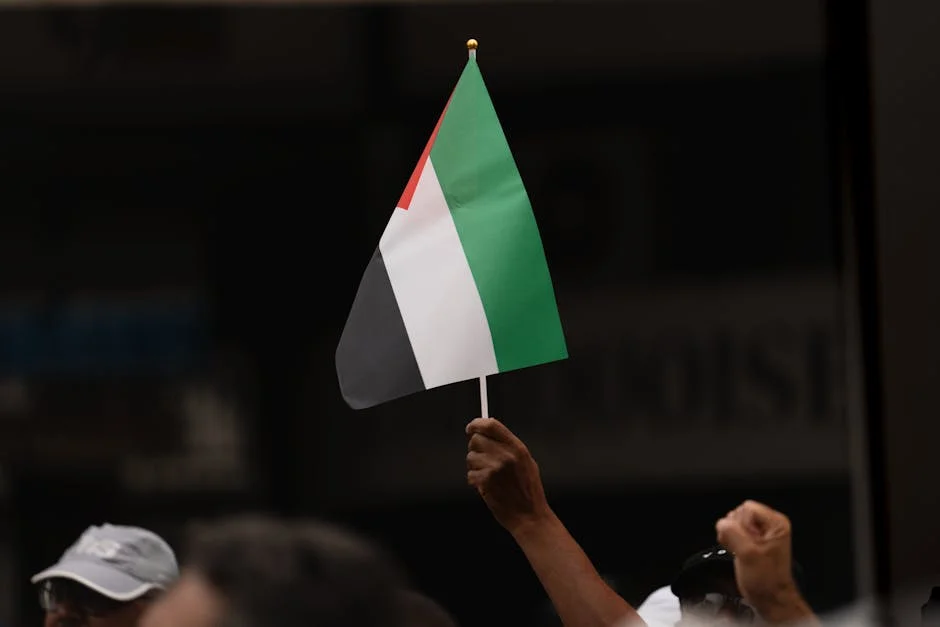 Australian Video Sparks Global Outcry Over Schoolboy Safety — Economy Business