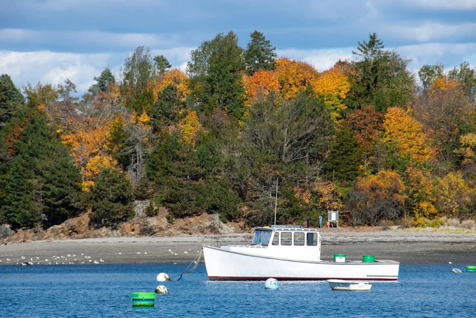 Axar Patel Declares 'I Won't Bowl Five Sixes' Against England — Here's What Happened — Economy Business