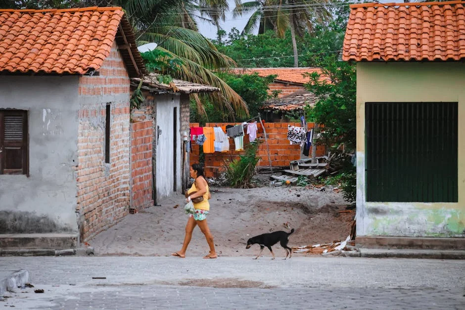 Bárbara Bandeira and Zé Amaro Nominated for US IPMA Awards — What It Means for Africa — Technology Innovation