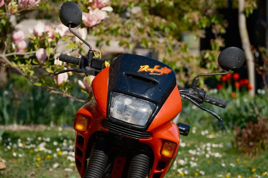 Bayern Targets PSG's Dominance — African Football Could Benefit — Economy Business