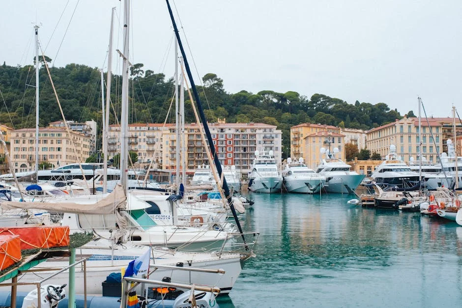 Benfica Matches Record Shots and Touches in Thrilling Draw with Porto - What It Means for African Clubs — Economy Business