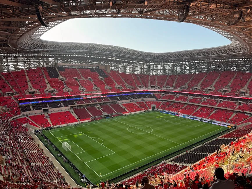 Benfica's Return Sparks National Debate — What's Next for Nigeria? — Economy Business