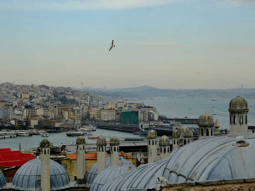 Bodo Stuns Molde with Victory Ahead of Champions Clash: What It Means for Sporting — Economy Business