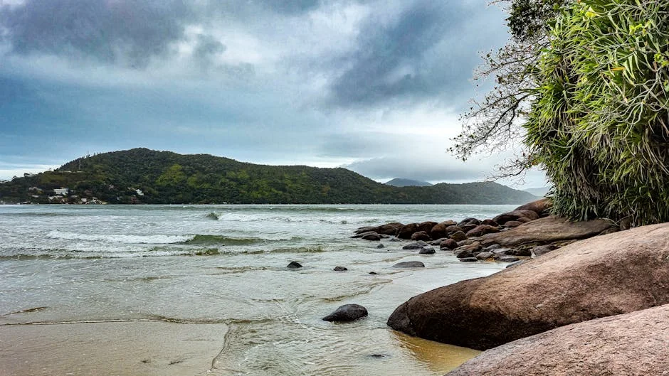 Brazil Faces Weather Chaos — Tempestade and Cold Weather Threaten Disruption — Economy Business