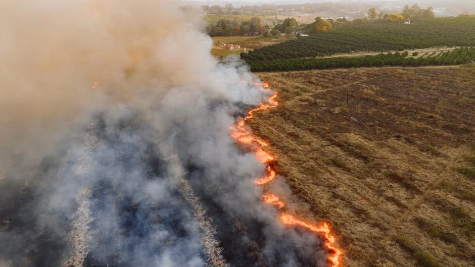 Brazil's Torrential Rains Claim 46 Lives: Implications for Africa — Technology Innovation