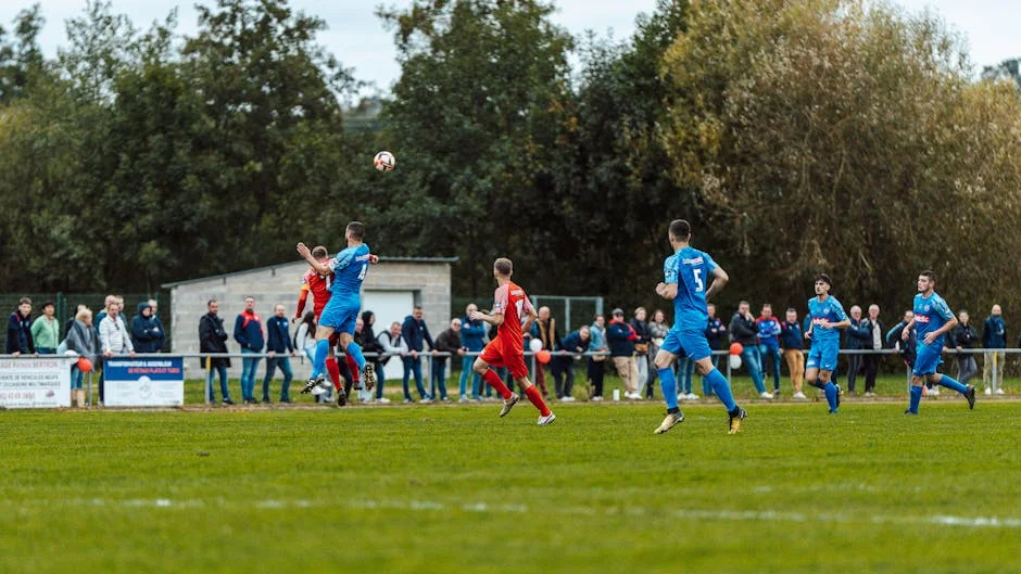 Bristol City Midfielder Out With Hamstring Injury — Impact on Nigerian Fans — Economy Business