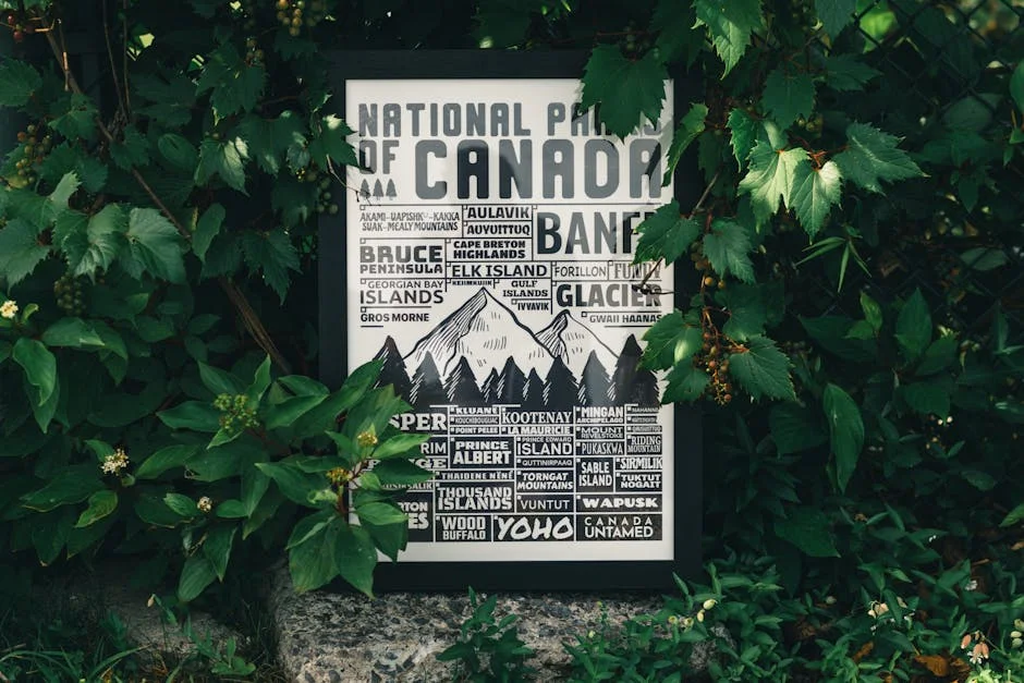 Bruce Whitfield Reveals Shoprite's Strategy to Transform Africa's Retail Landscape: Here's What It Means — Economy Business