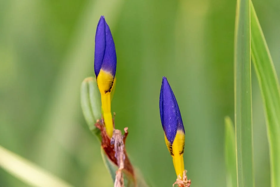 CAP Slams EU's Agricultural Reform as 'Complete Nonsense' — What This Means for Nigeria — Economy Business