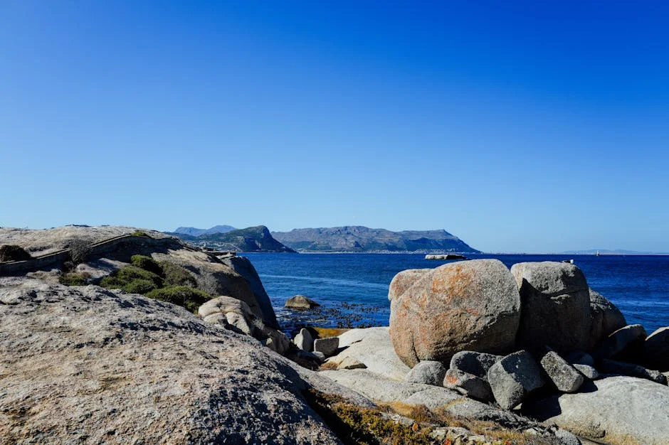 Cape Town Approves N2 Wall Project Amid Public Outcry — Politics Governance