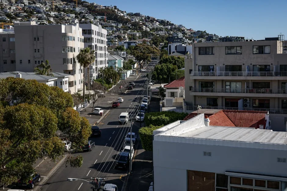 Cape Town Expands Nature Reserves by 1,000 Hectares — What This Means for Urban Sustainability — Environment Nature