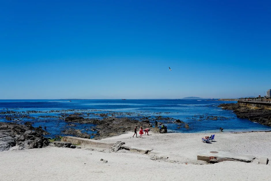 Cape Town Freezes Fares as Fuel Prices Surge — Economy Business