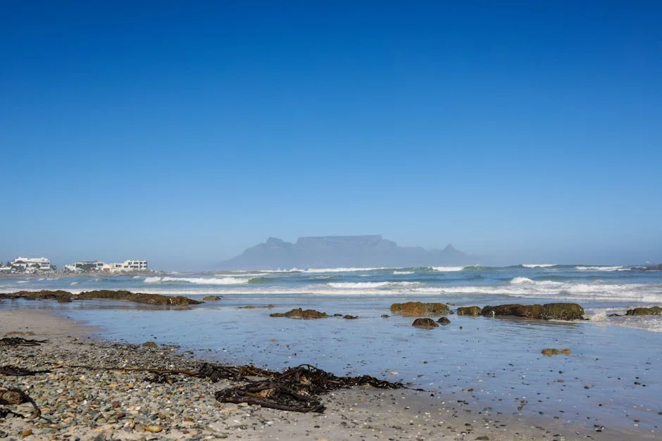 Cape Town Slams Extortion in Informal Settlements — Residents Demand Action — Economy Business
