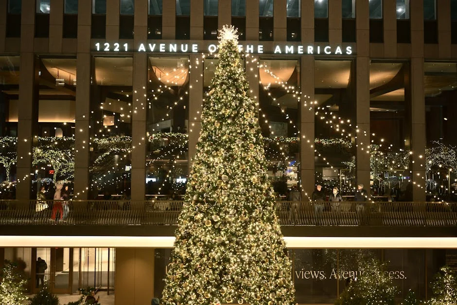 Cardi B Teams With Zohran Mamdani For NYC Childcare Jingle Contest