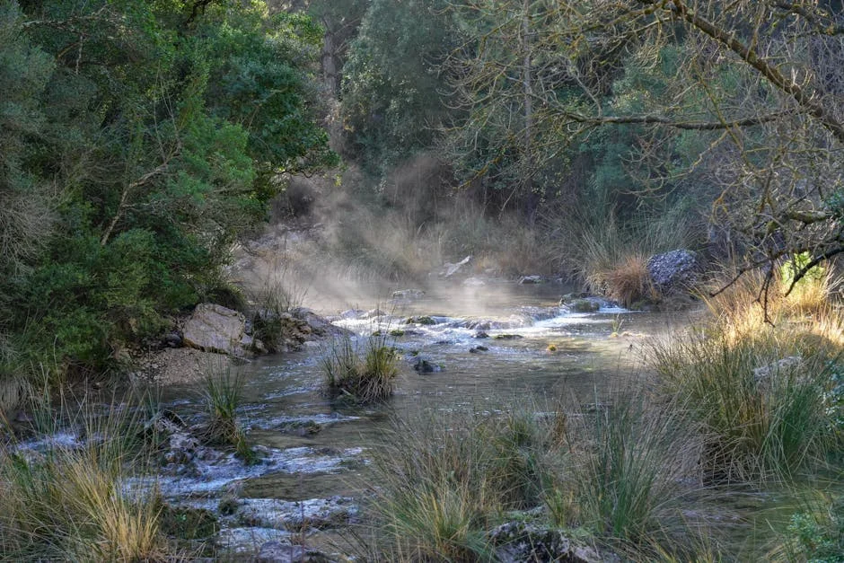 Carlos Tartiere El Hosts Emotional Tribute to Armando Barbón Led by Diego and Santi Cazorla