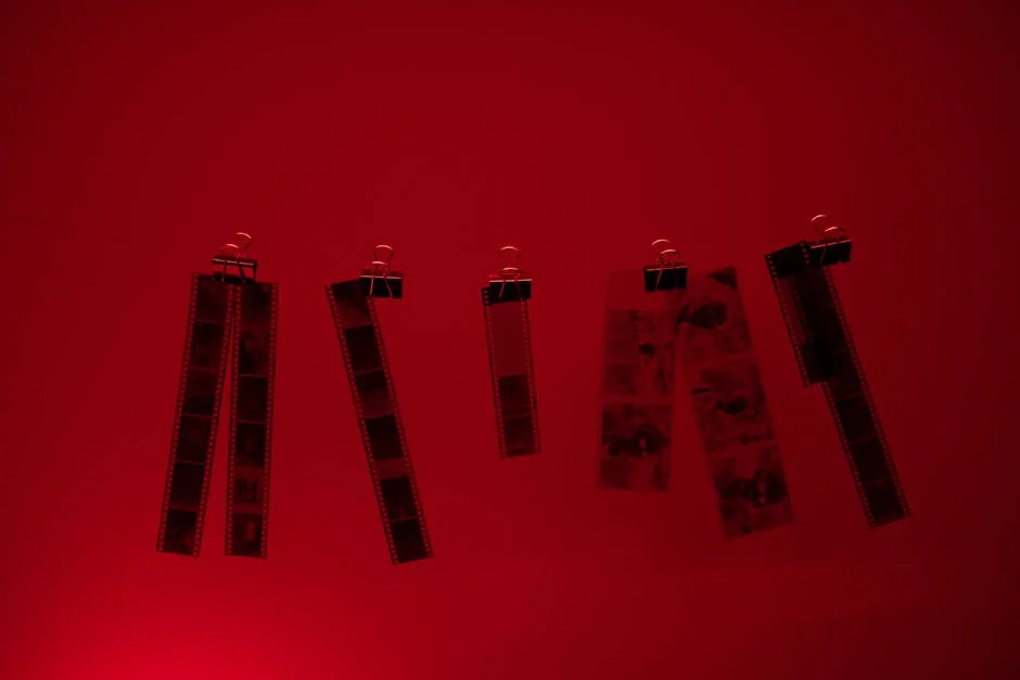 Cativos Wins Grand Prize at Fantasporto Festival: What This Means for African Cinema — Economy Business