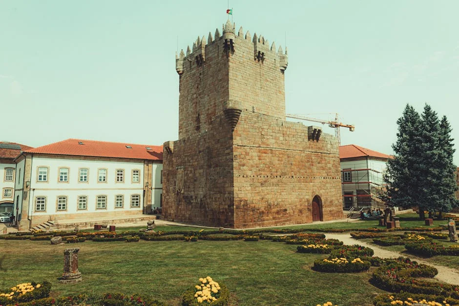 Chaves Sells Uros Milovanovic: Implications for Nigerian Development Goals — Technology Innovation