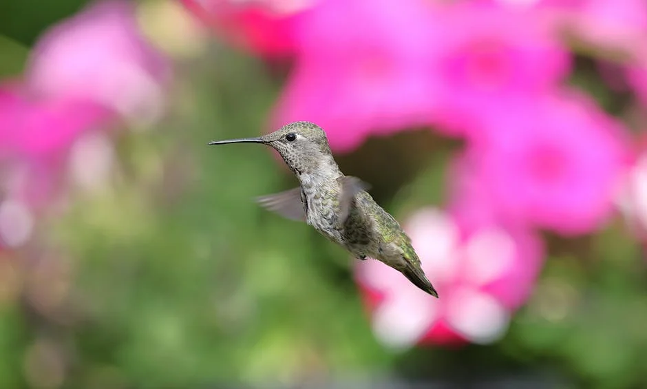 Collector Launches Anna Canteen in Kothavalasa to Tackle Hunger — Economy Business