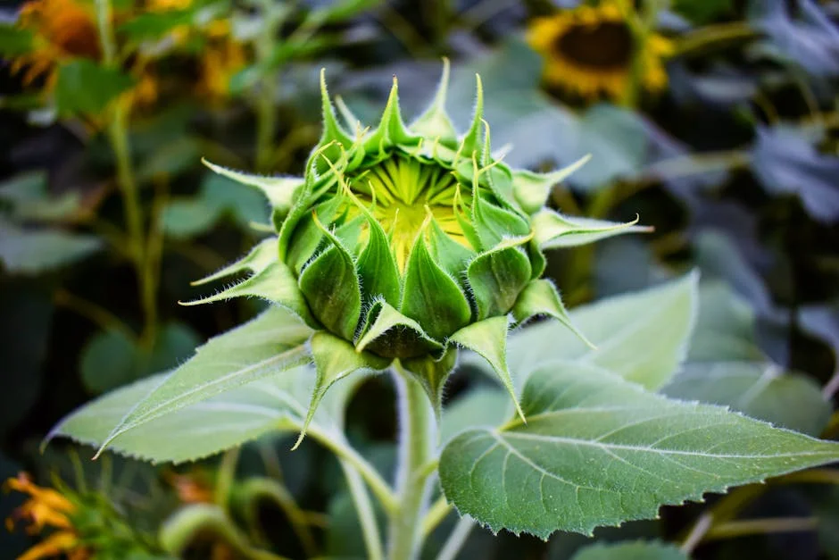 Companies Brace for Economic Turmoil as West Asia Tensions Escalate: What It Means for Nigeria — Economy Business