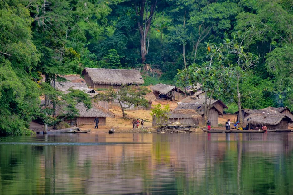 Congo Basin Forests Show Remarkable Recovery Signs