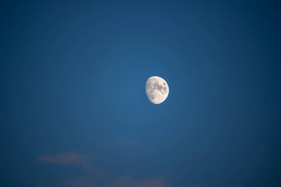 Costa Vicentina and Câmara de Lobos Shine in European Travel Rankings — Economy Business