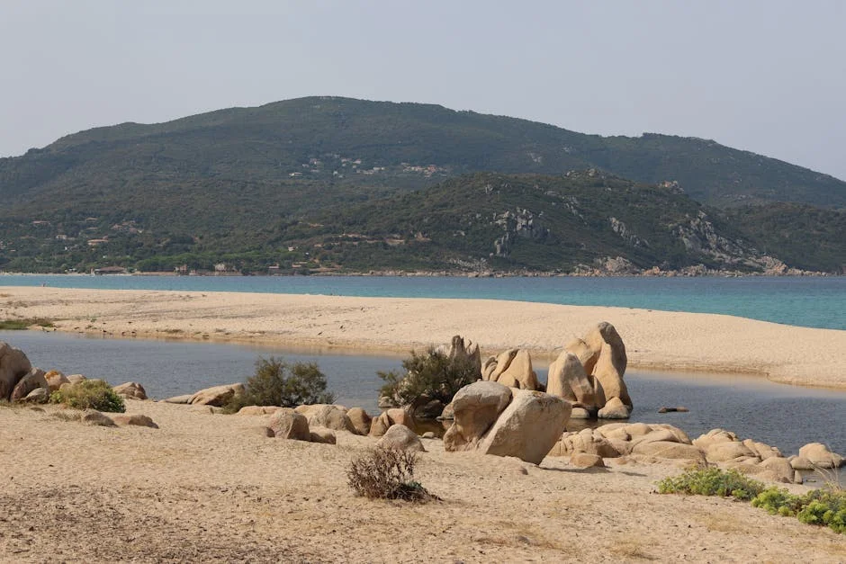 Cristian Lema Announces Retirement: What This Means for Benfica and Boca Juniors — Economy Business