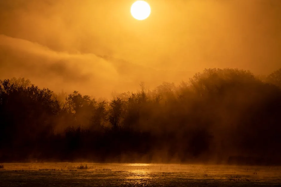 Cunha Telles' New Series Highlights Cultural Narratives for Africa — Technology Innovation