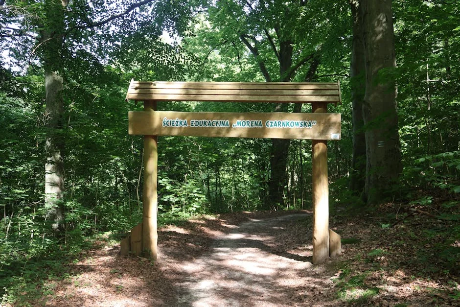 Delhi Govt Forces Businesses to Switch to PNG for LPG Access — Politics Governance