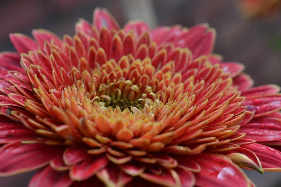 Delhi Teenager Killed in Knife Attack Amid Dispute — Police Probe Underway — Economy Business