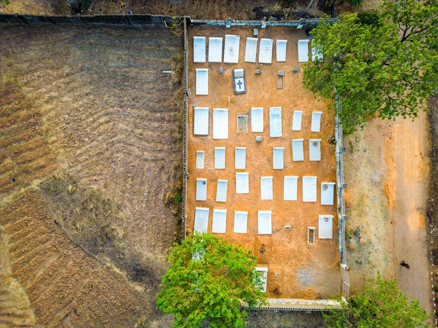 DHL Unveils R5.8bn Investment in Sub-Saharan Africa: A Boost for Local Economies — Economy Business