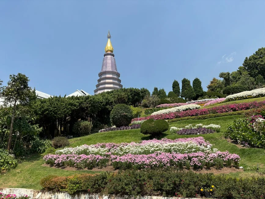 Dois Exposes Unused Dental Cheques: What This Means for Healthcare Access