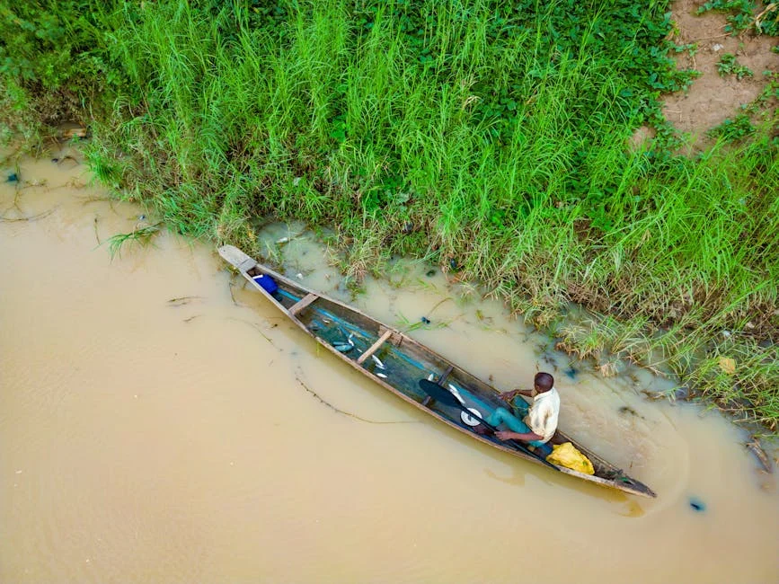 DR Congo Ebola Death Toll Hits 65 — Africa’s Health Infrastructure Under Scrutiny — Health Medicine