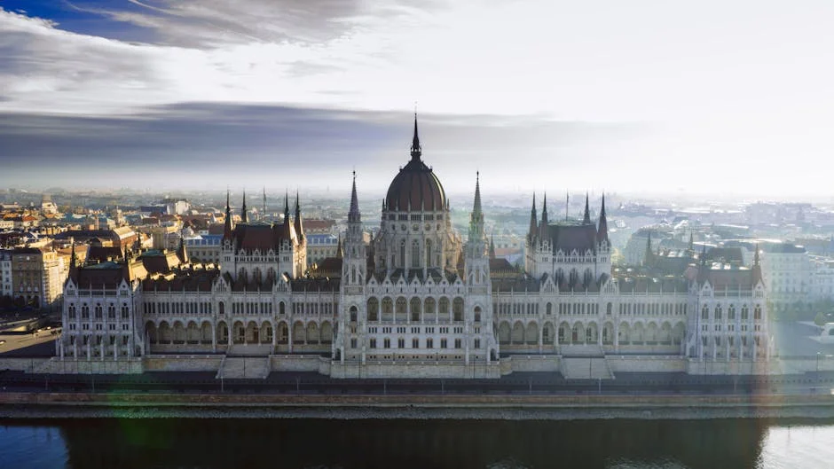 Eastern Cape Councillors Quit ANC for Patriotic Alliance — Economy Business