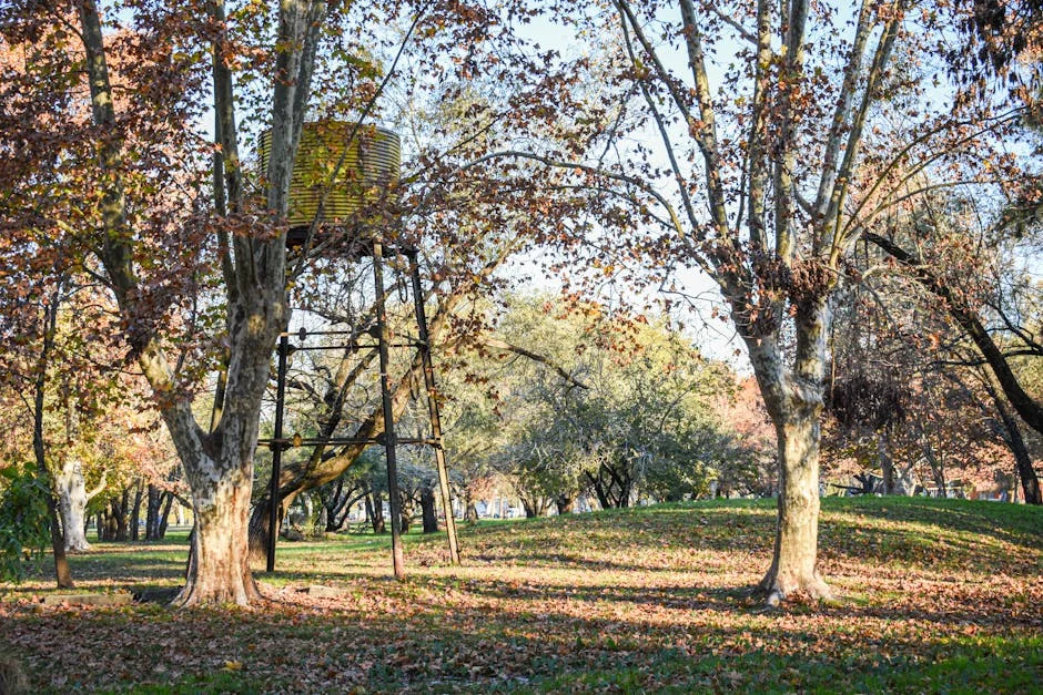 Entre Exposes Media Crisis in Nigeria: How It Affects Development Goals