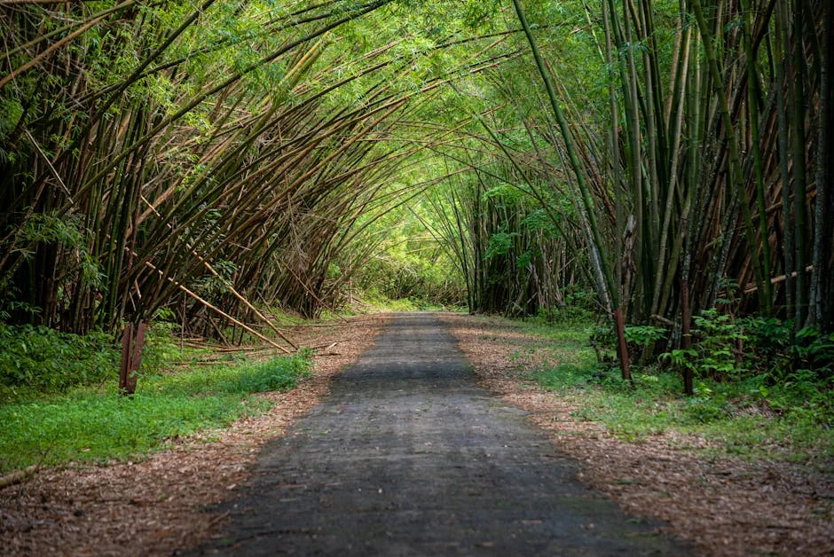 Ernakulam Launches Green Initiative as April Brings Climate Focus — Economy Business