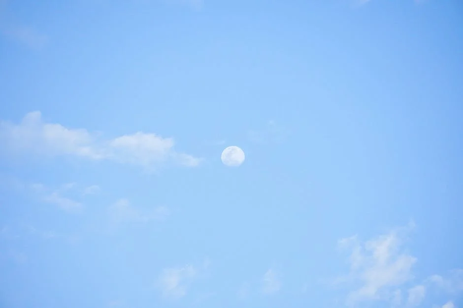 Ethan Hawke's 'Blue Moon': Cultural Reflections and African Opportunities — Economy Business