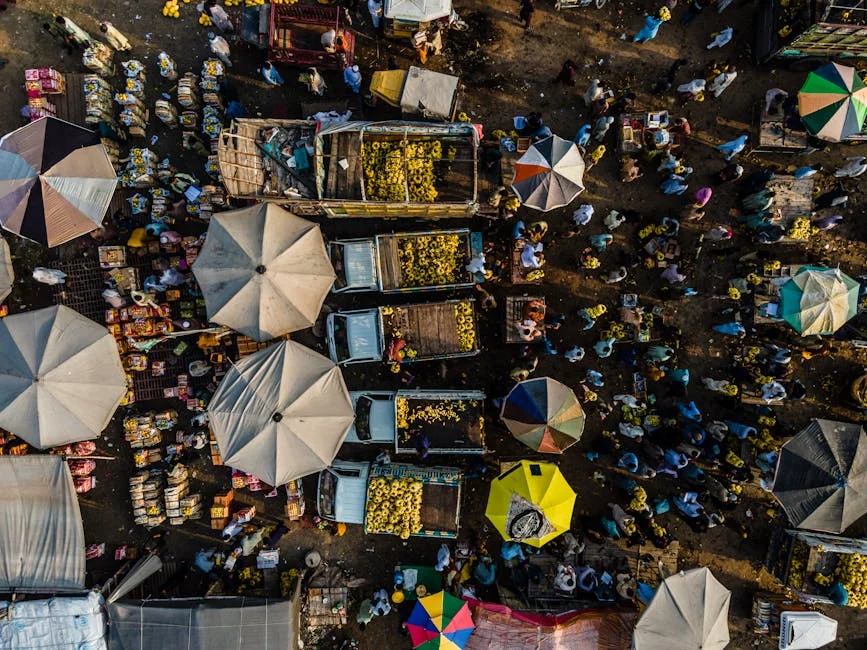 Ethiopia Bets on Dangote Fertiliser to Fix Food Crisis — Politics Governance
