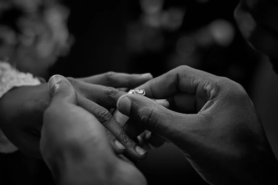 European Company Proposes Dividends of €0.35 and €0.10: What It Means for Africa — Economy Business