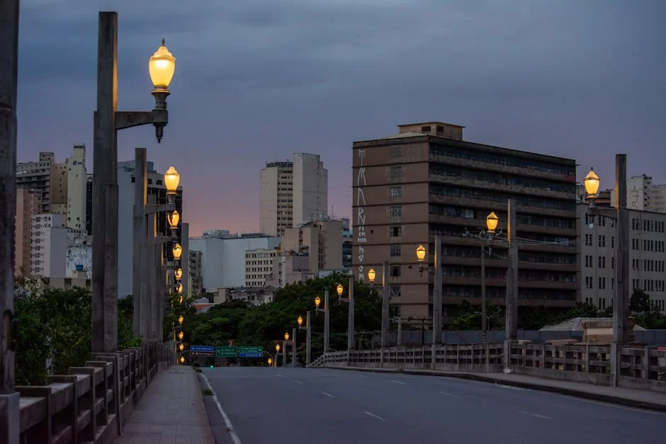 Examining Paulo Catrica’s Urban Landscapes and Their Impact on Nigeria — Technology Innovation